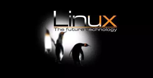嵌入式Linux学习中需要避免的五大误区